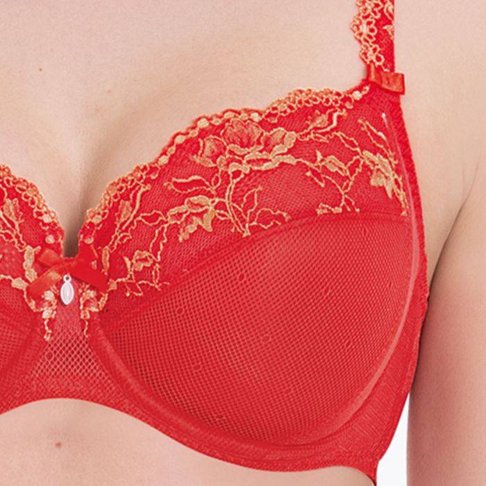 Rosa Faia COLETTE - Bügel-BH Weihnachtsangebot