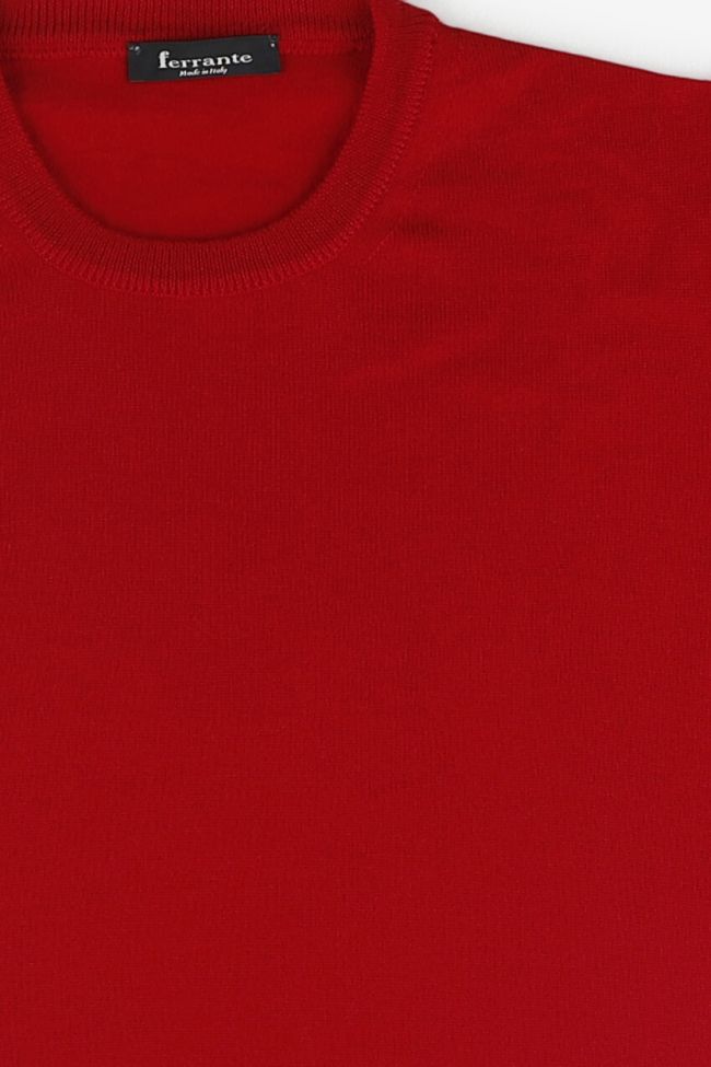 ferrante Strickwaren Herren Ferrante Rundhalsausschnitt Regular Einfarbig 100% Merinowolle Extrafine Angebote