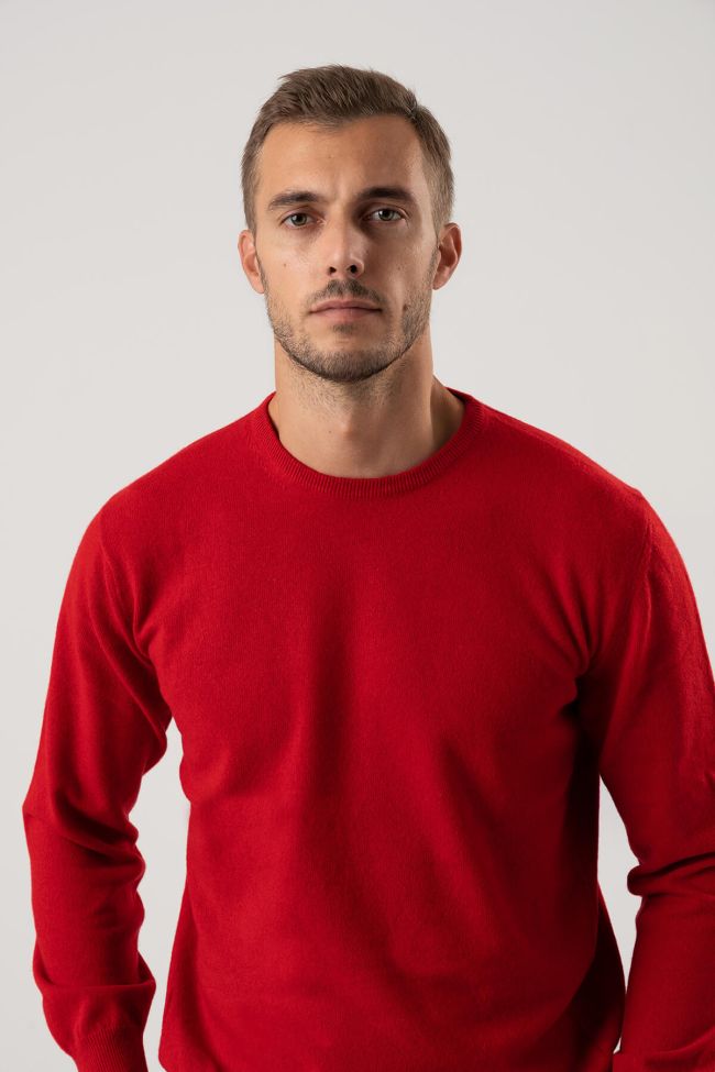 privati firenze Strickwaren Herren Privati Firenze Rundhalsausschnitt Slim Einfarbig 100% Kaschmir Valentinstagsangebot