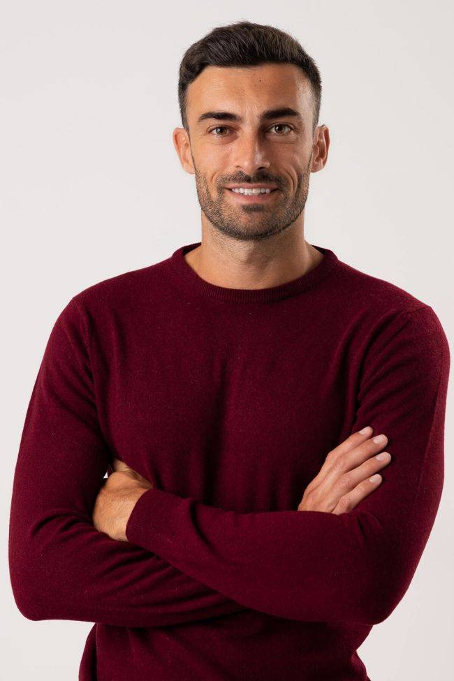 privati firenze Strickwaren Herren Privati Firenze Rundhalsausschnitt Slim Einfarbig 100% Kaschmir Bis zu 60% Rabatt
