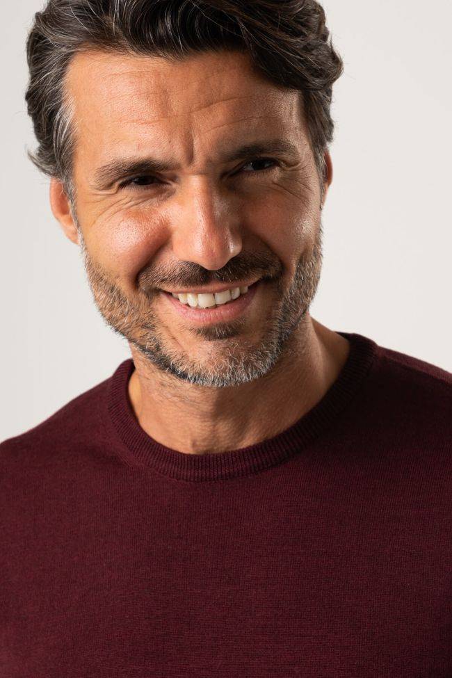 privati firenze Strickwaren Herren Privati Firenze Rundhalsausschnitt Slim Einfarbig 100% Merinowolle Auslauf