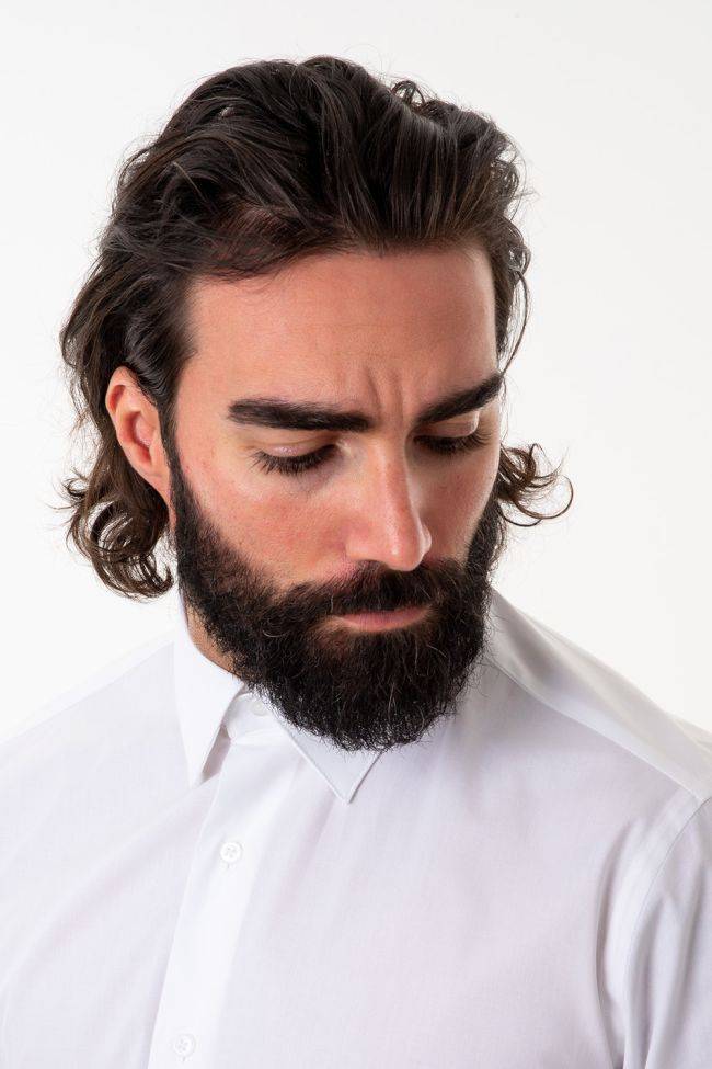 aplomb Hemd Herren Aplomb Slim Einfarbig 97% Baumwolle 3% elastan kragen Italienisch Lange Ärmel Versandkostenfrei