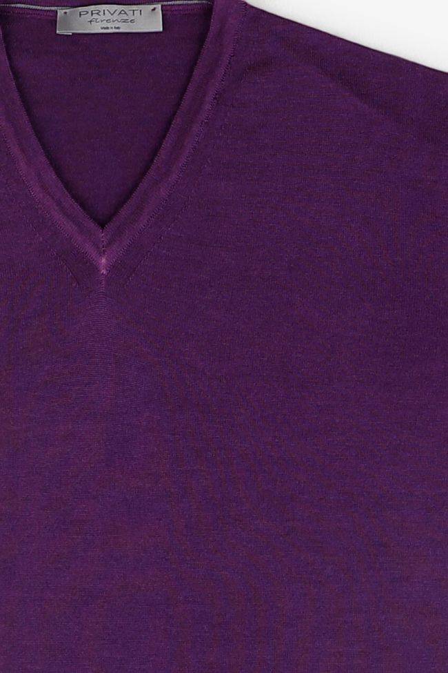 privati firenze Strickwaren Herren Privati Firenze V-Ausschnitt Regular Einfarbig 100% Merinowolle Begrenzt auf 3 Tage