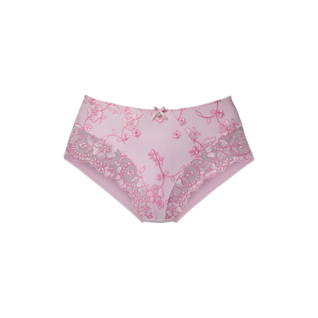 LASCANA Slip »Wanda« in abdeckender Schnittform und Stickerei Spitze ▷ für Begrenzte Freigabe